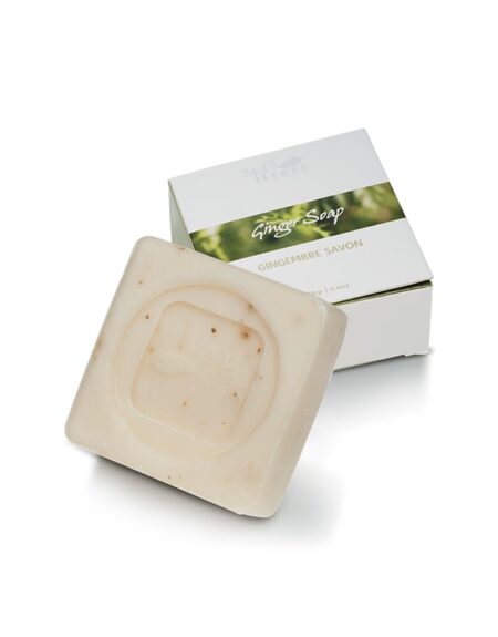 Ginger-Soap