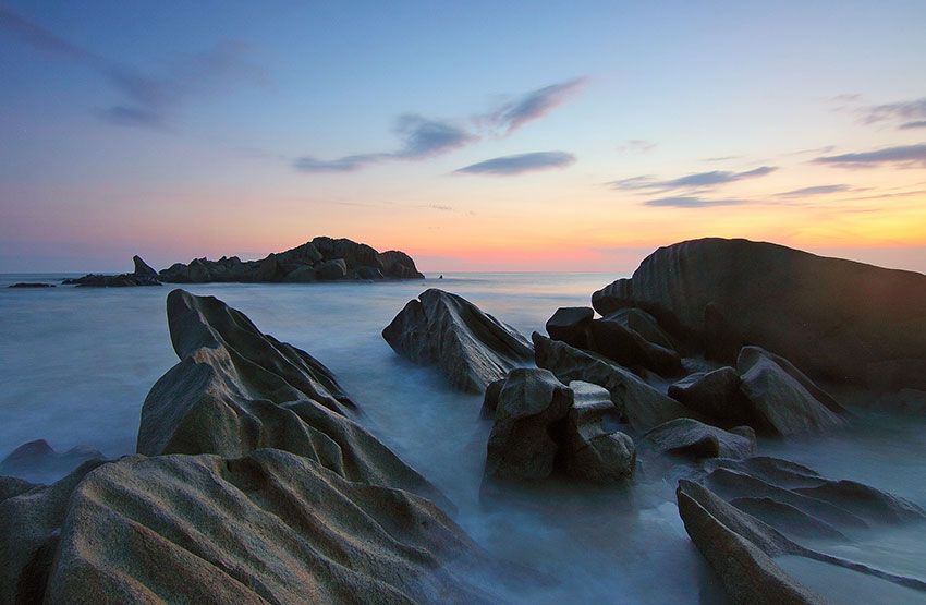 UNDER THE SEAweed Sea weed