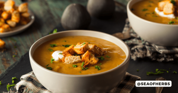 Butternut Squash Soup
