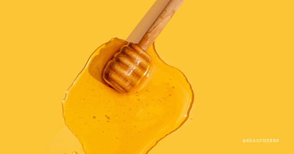 Honey Health Benefits 595x313