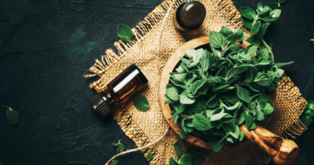 the amazing benefits of oregano oil for immunity