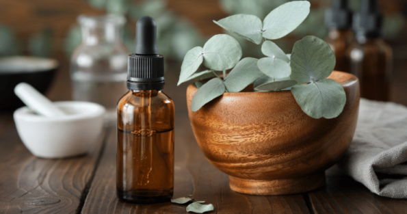 Herbal remedies for stress relief and better sleep Eucalyptus Oil Benefits