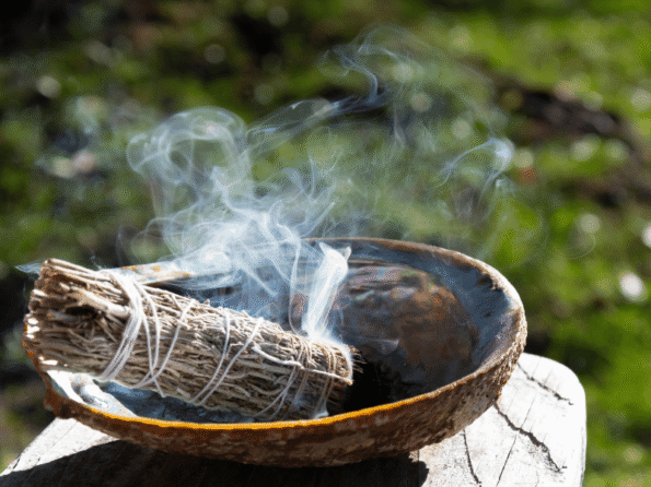 Discover the Healing Benefits of Palestinian Sage (Miramiyeh) | Sea of Herbs Spiritual benefit of sage